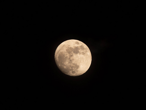 Serrurier Tassin-la-Demi-Lune